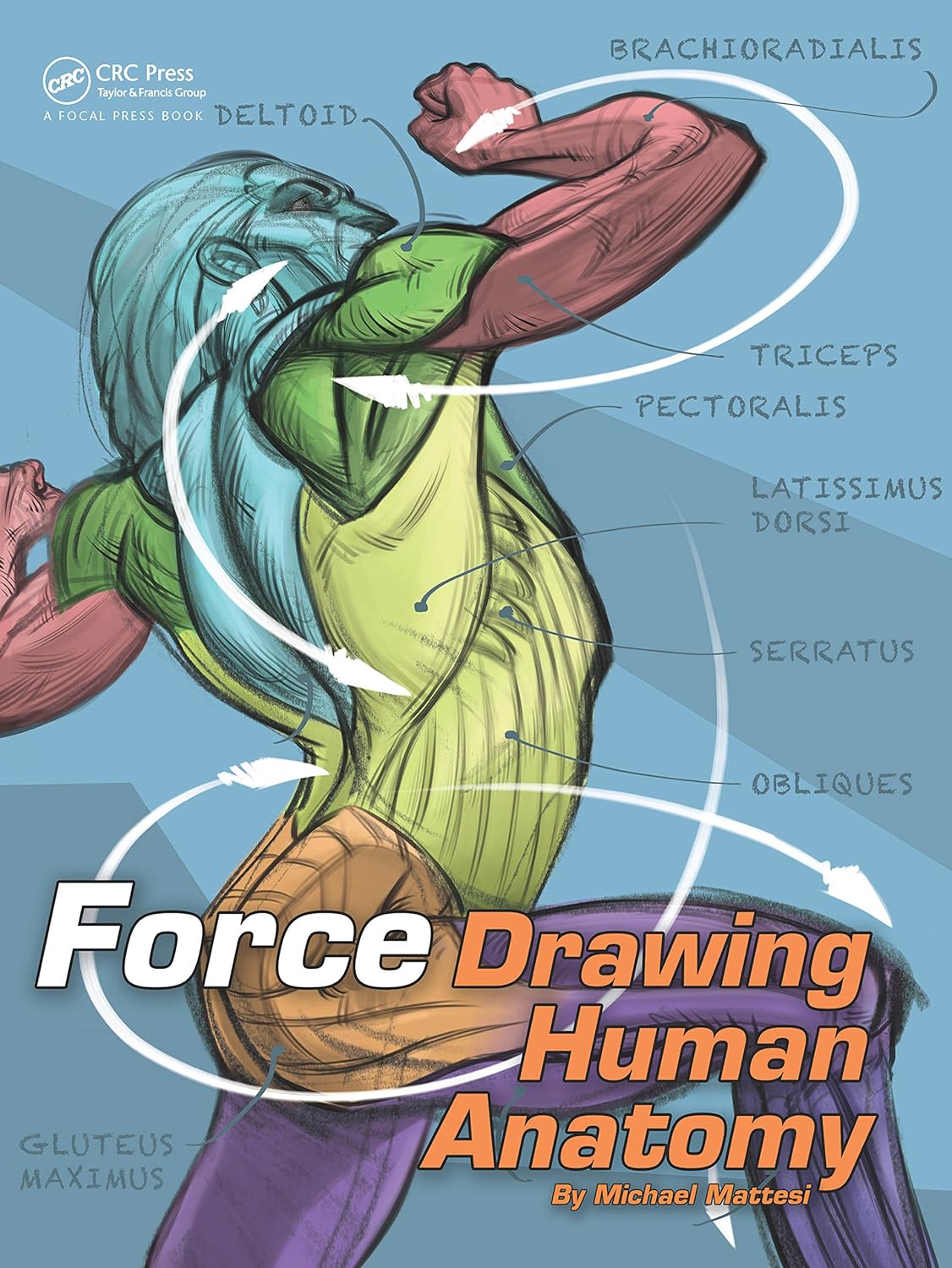 Buy FORCE: Drawing Human Anatomy (English, Paperback) Online at Best Price - GlowMirror