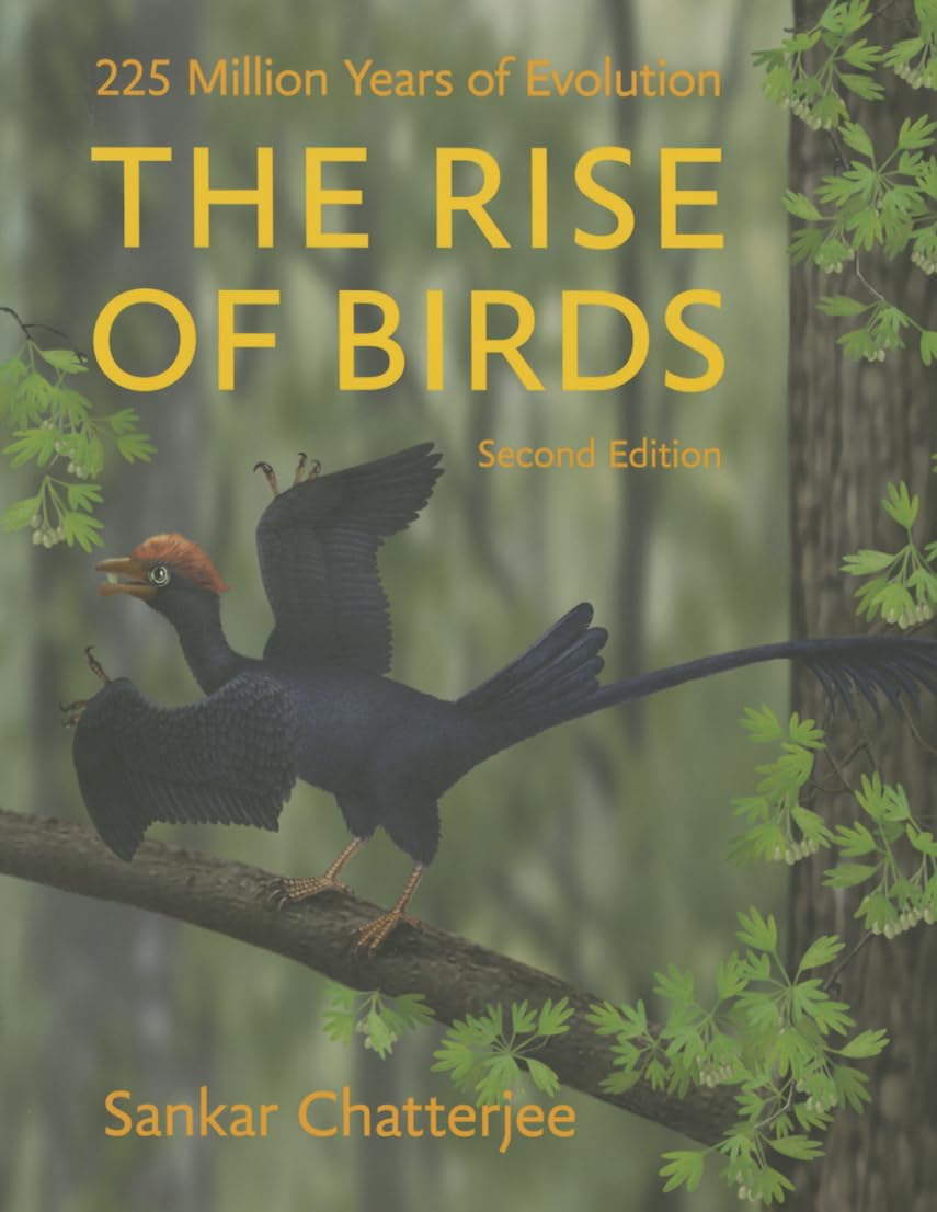 Buy The Rise of Birds: 225 Million Years of Evolution (English, Paperback, Sankar Chatterjee) Online at Best Price - GlowMirror