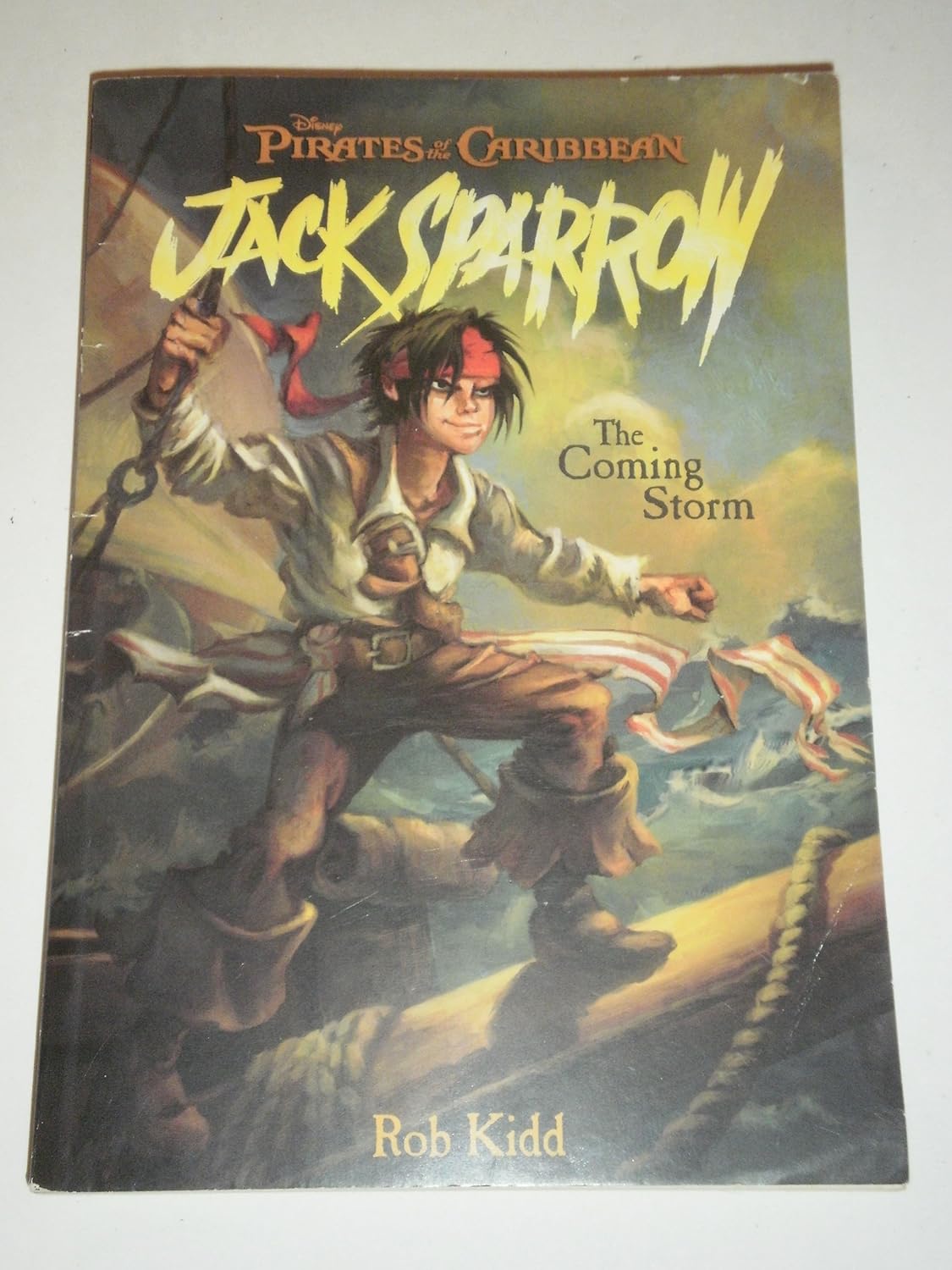 Buy The Coming Storm (English, Paperback, Rob Kidd, Jean-Paul Orpinas) Online at Best Price - GlowMirror