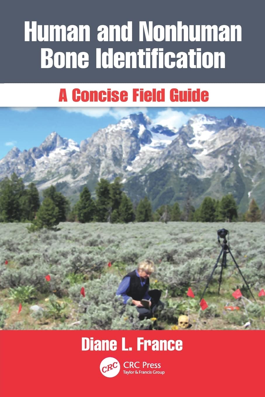 Buy Human And Nonhuman Bone Identification A Concise Field Guide (Pb 2011) (English, Paperback, Diane L. France) Online at Best Price - GlowMirror