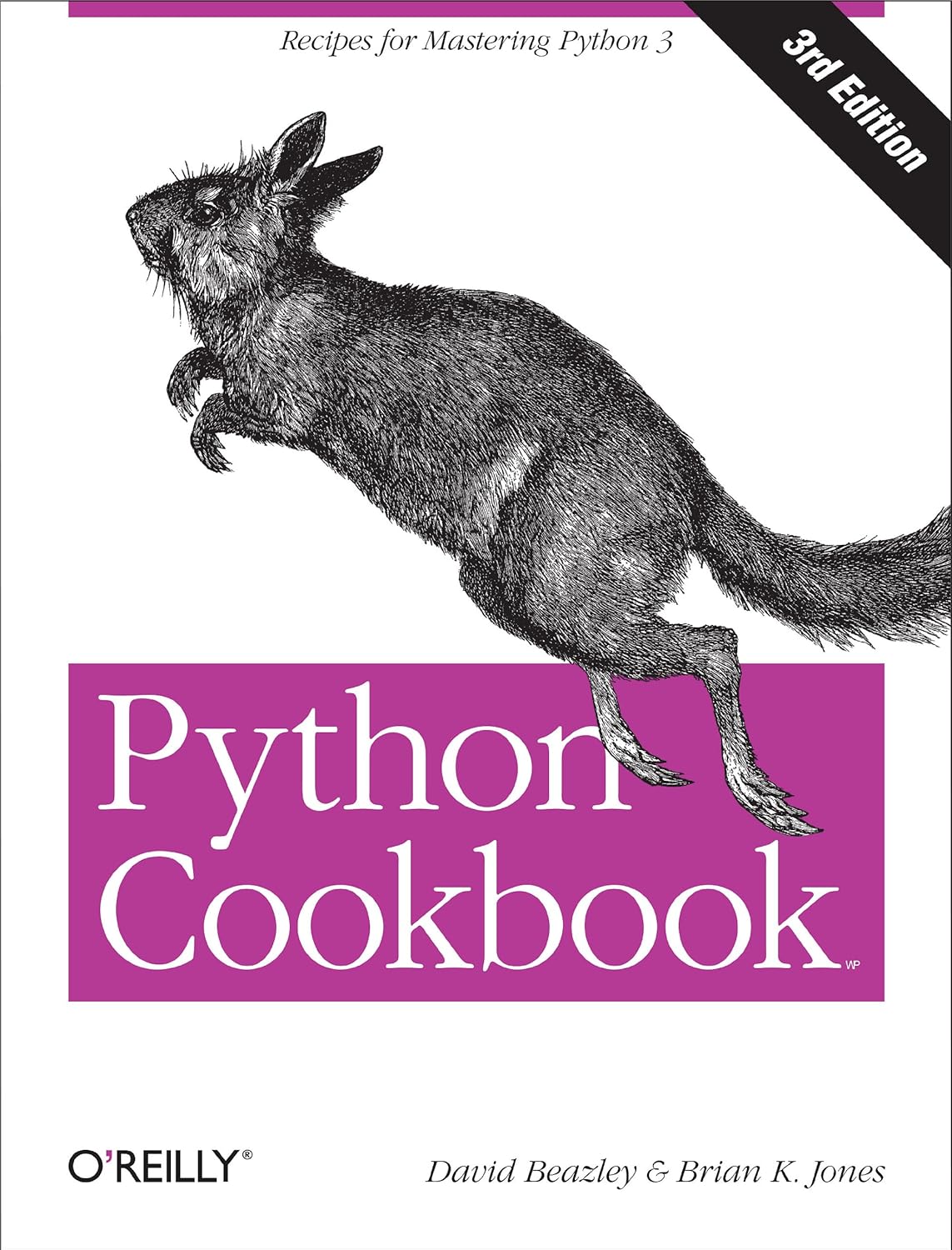 Buy Python Cookbook 3e: Recipes for Mastering Python 3: No. 3 (Python Cookbook: Recipes for Mastering Python): Recipes for Mastering Python : 3rd Edition Online at Best Price - GlowMirror