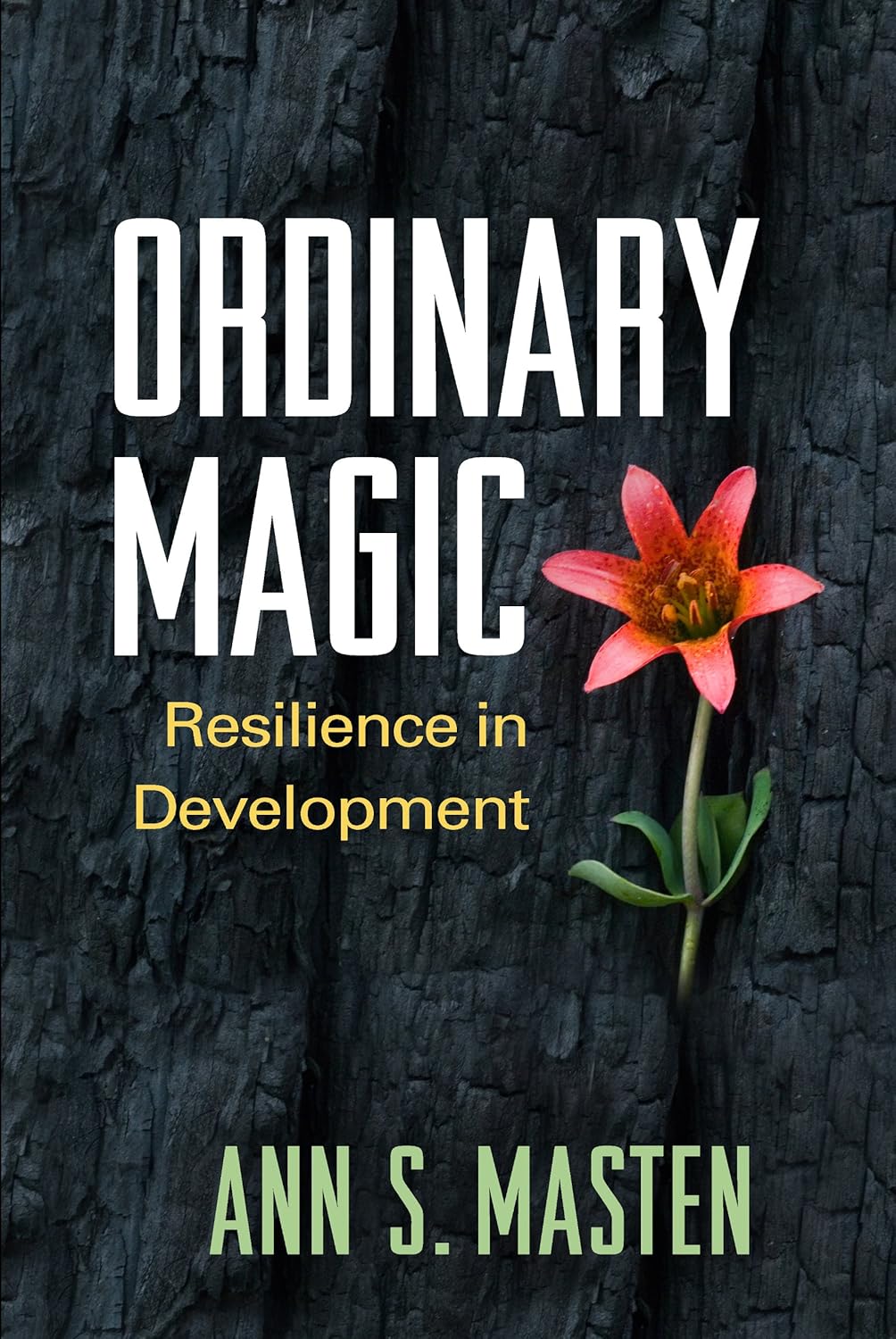 Buy Ordinary Magic: Resilience in Development (English, Hardcover, Ann S. Masten) Online at Best Price - GlowMirror