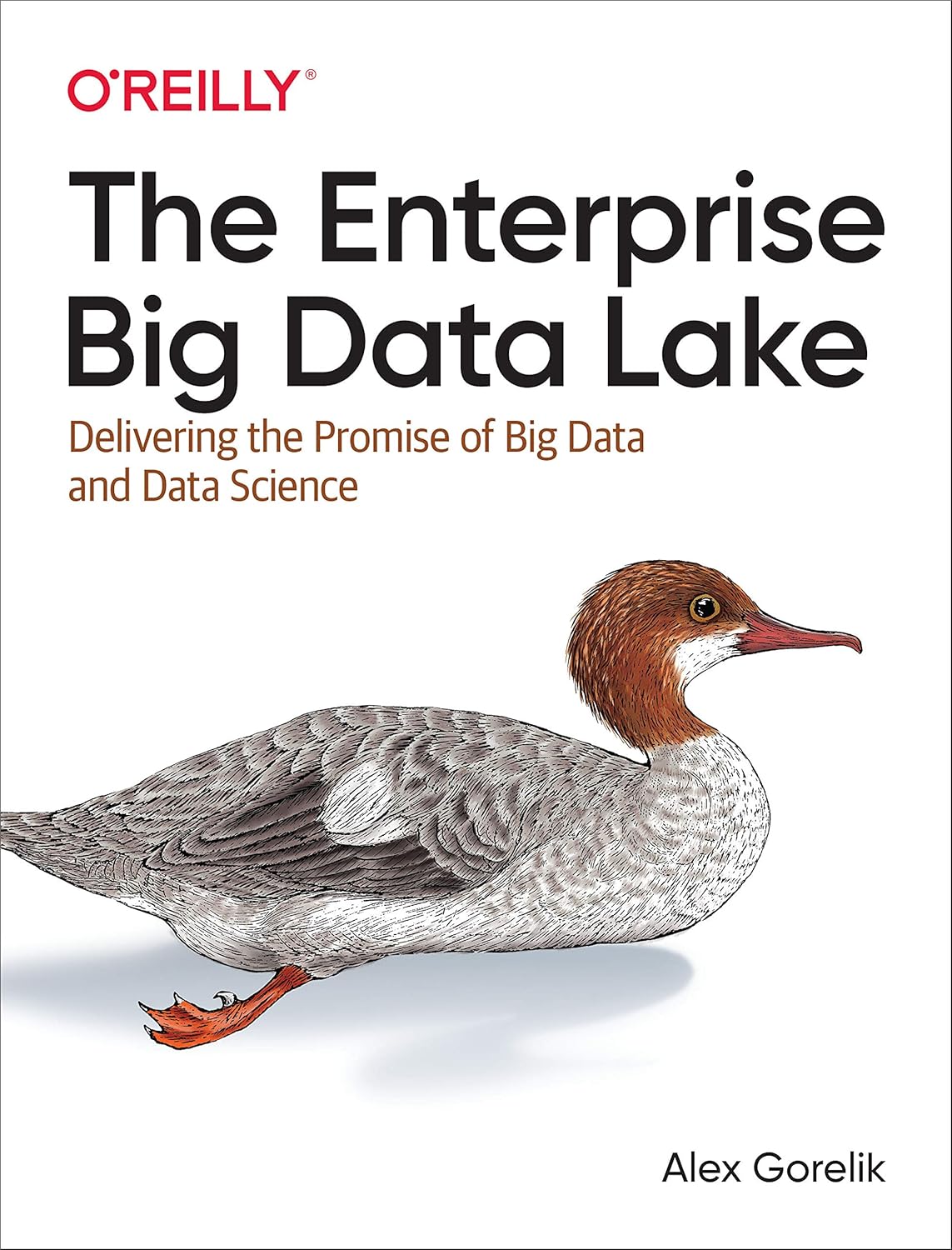 Buy The Enterprise Big Data Lake: Delivering the Promise of Big Data and Data Science (English, Paperback, Alex Gorelik) Online at Best Price - GlowMirror