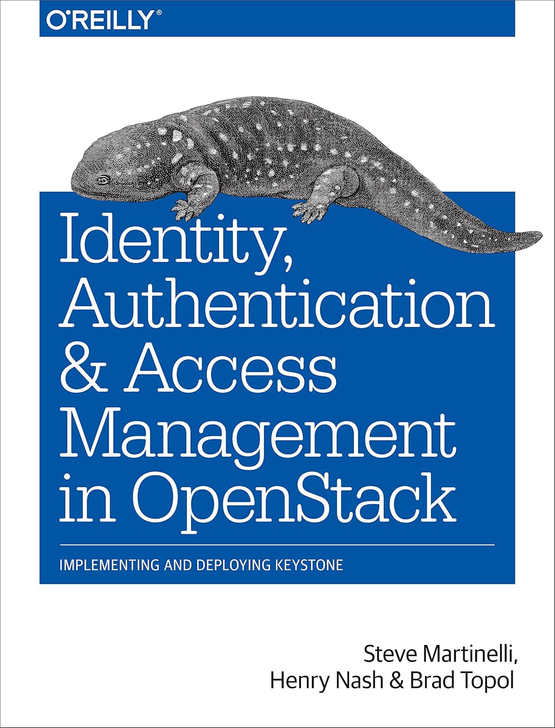 Buy Identity, Authentication and Access Management in OpenStack: Implementing and Deploying Keystone (English, Paperback, Steve Martinelli, Henry Nash,... Online at Best Price - GlowMirror