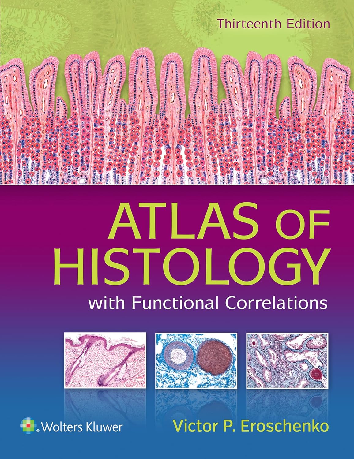Atlas of Histology With Functional Correlations (English, Paperback, Ph.D. Eroschenko, Victor P.) - Image 1 - GlowMirror