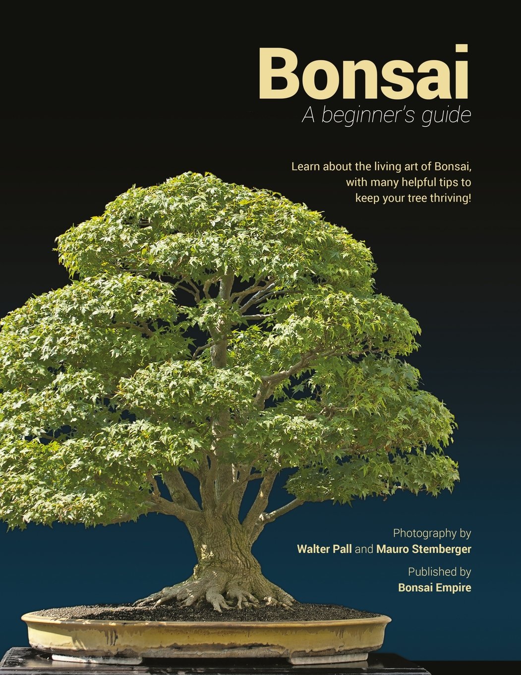 Buy Bonsai: A Beginners Guide, Learn About the Art of Growing Bonsai, With Many helpful Tips to Keep Your Tree Thriving! (English, Paperback, Bonsai Em... Online at Best Price - GlowMirror