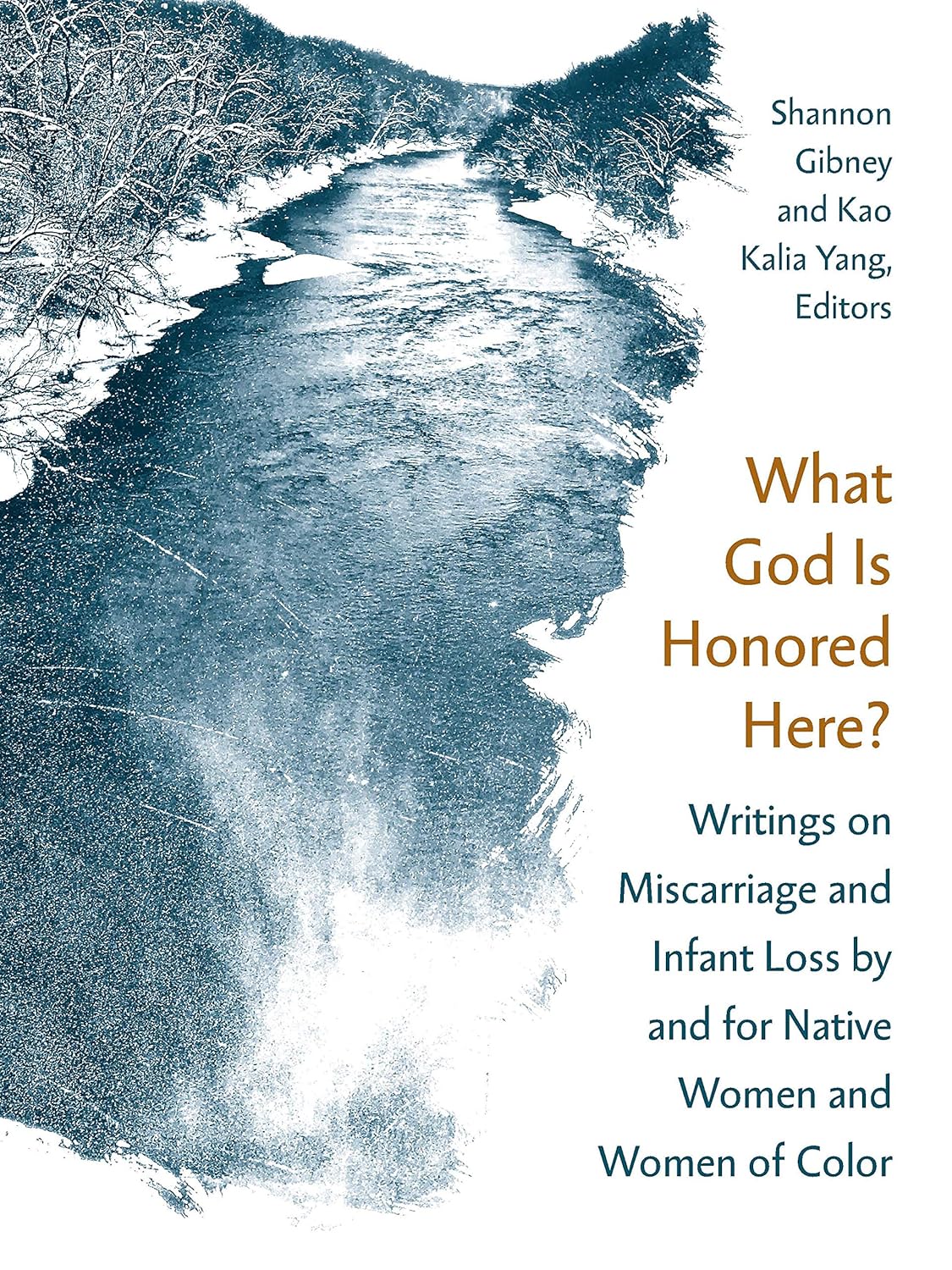 Buy What God Is Honored Here?: Writings on Miscarriage and Infant Loss by and for Native Women and Women of Color (English, Paperback, Shannon Gibney, ... Online at Best Price - GlowMirror