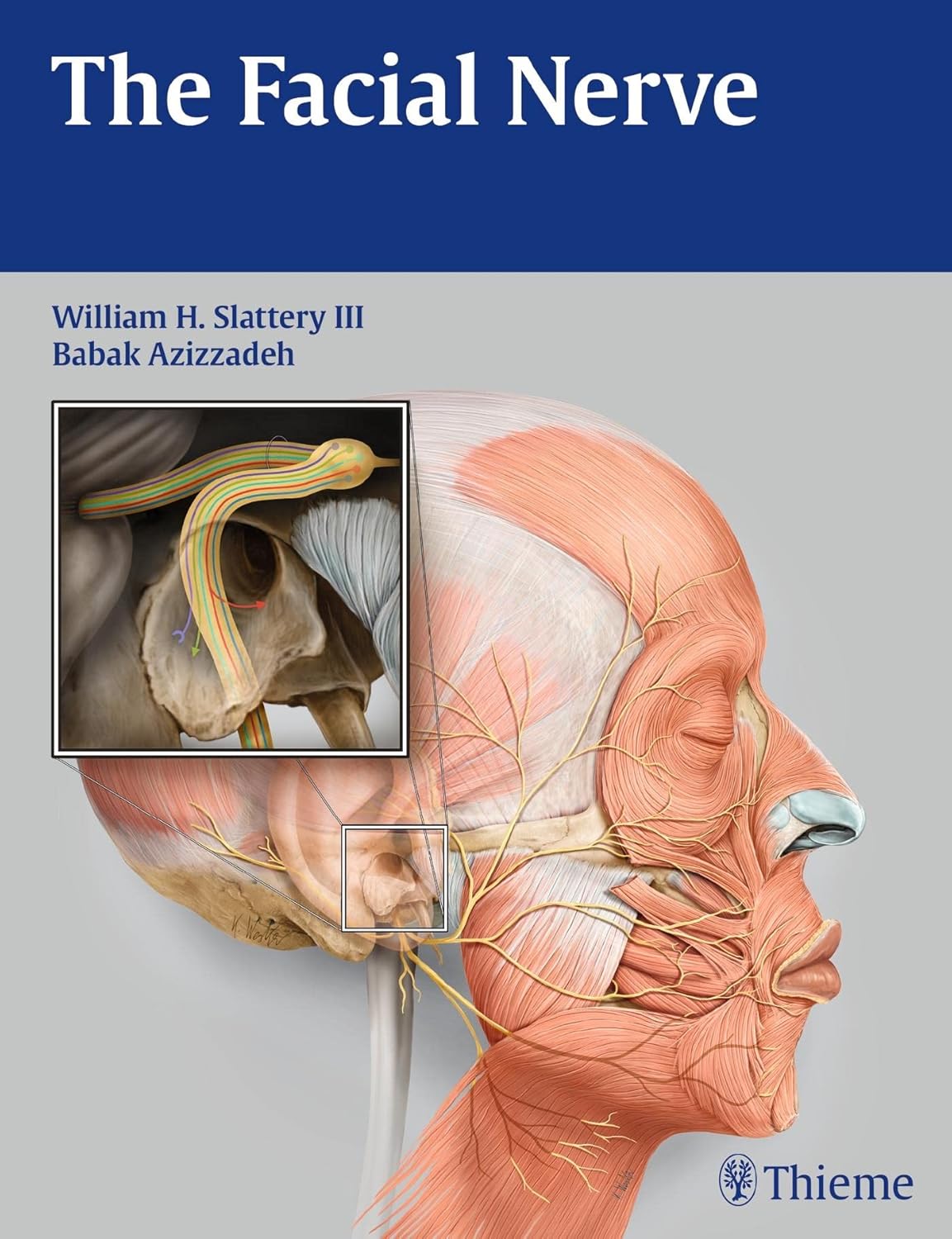 Buy The Facial Nerve (English, Paperback, William H. Slattery) Online at Best Price - GlowMirror