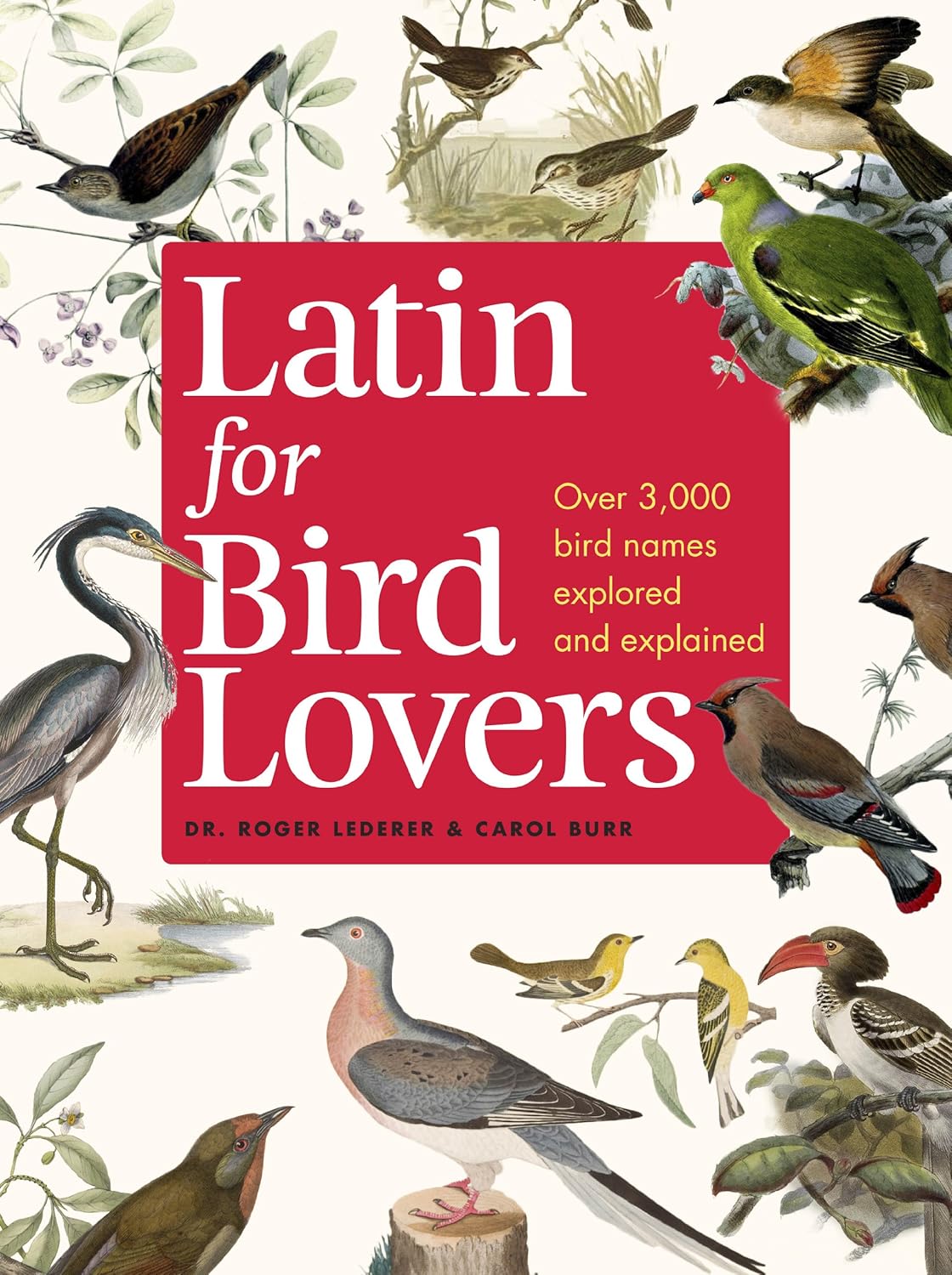 Buy Latin for Bird Lovers (English, Hardcover, Roger J. Lederer, Carol Burr) Online at Best Price - GlowMirror