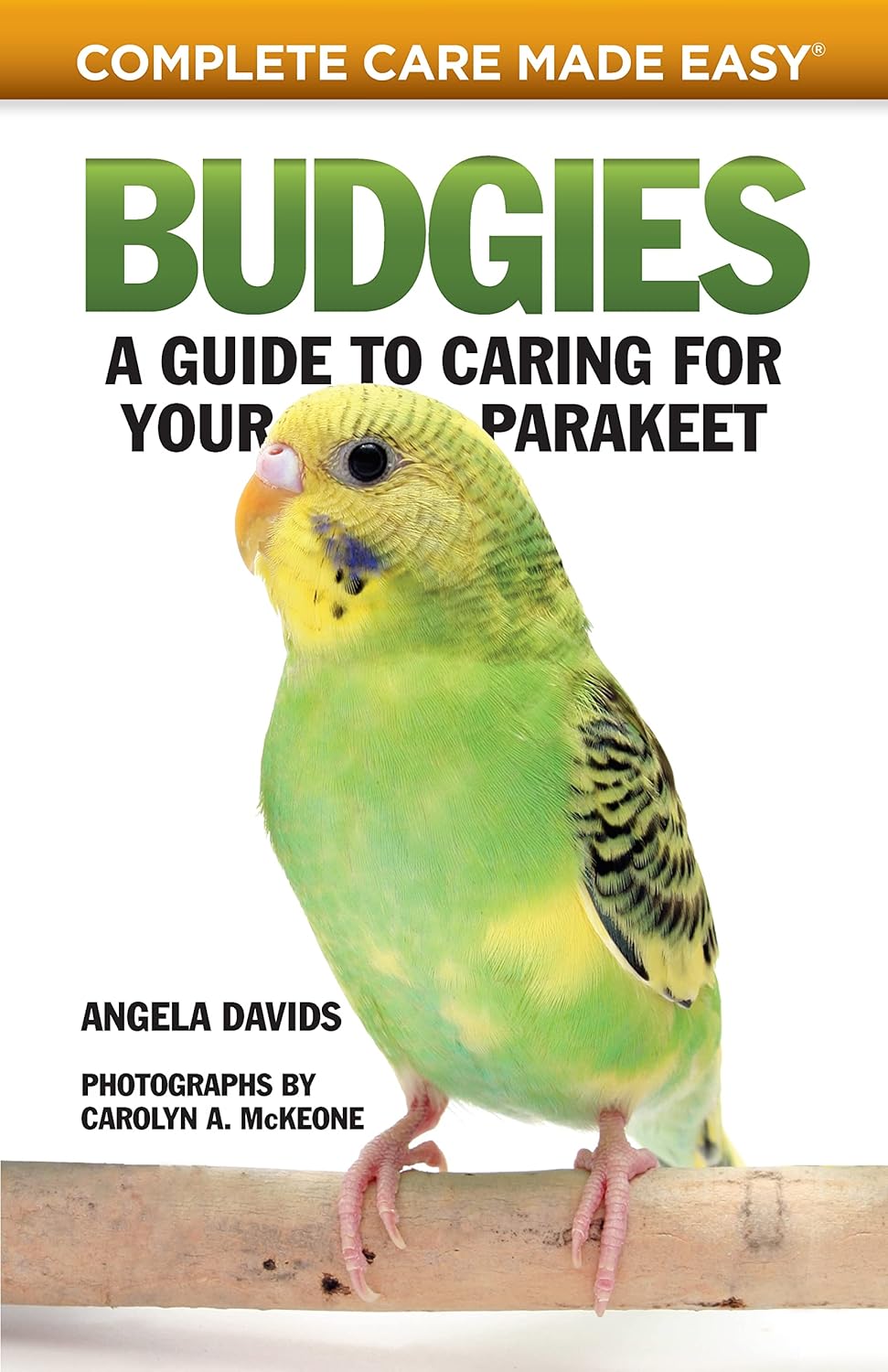 Buy Budgies: A Guide to Caring for Your Parakeet (Complete Care Made Easy) (English, Paperback, Angela Davids) Online at Best Price - GlowMirror