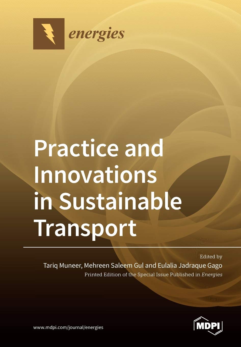 Buy Practice and Innovations in Sustainable Transport (English, Paperback, Tariq Muneer, Mehreen Saleem Gul, Eulalia Jadraque Gago) Online at Best Price - GlowMirror