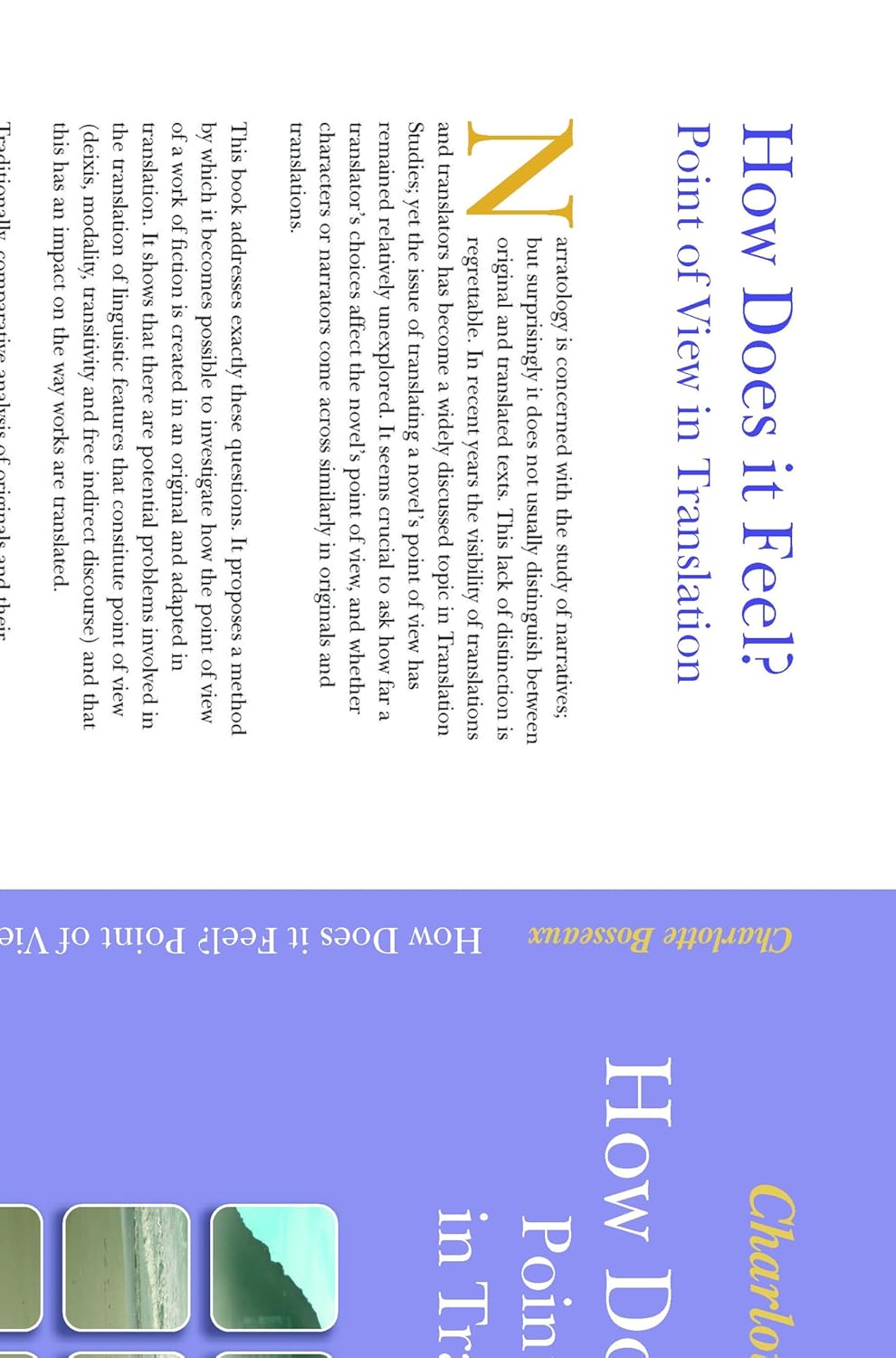Buy How Does it Feel? Point of View in Translation: The Case of Virginia Woolf into French: 29 (Approaches to Translation Studies, 29) (English, Paperb... Online at Best Price - GlowMirror
