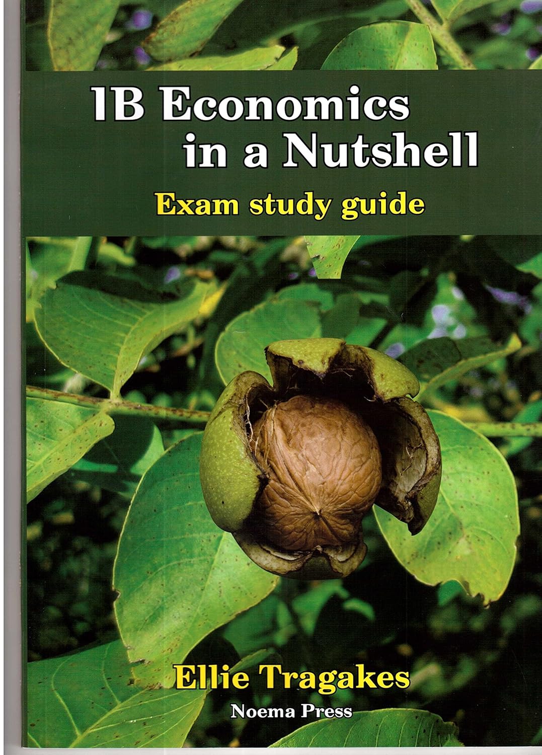 Buy IB Economics in Nutshell Exam study guide (English, Paperback) Online at Best Price - GlowMirror