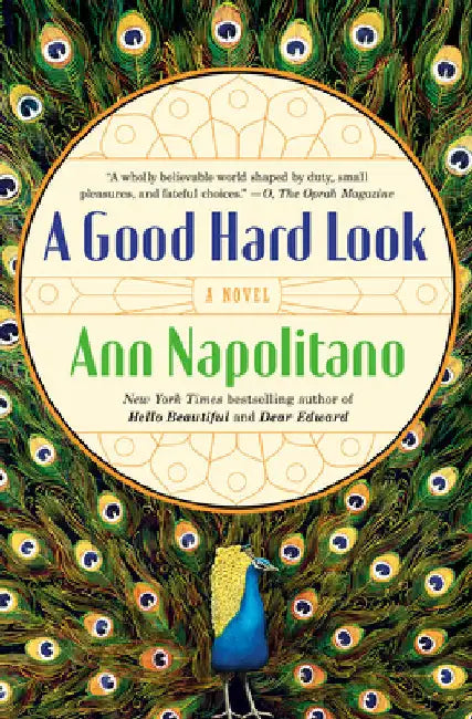 A Good Hard Look (English, Ann Napolitano)