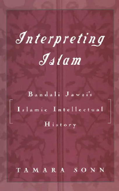 Interpreting Islam (English, Tamara Sonn)