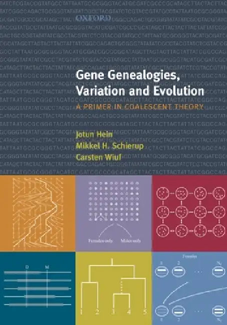 Gene Genealogies, Variation and Evolution (English, Jotun Hein | Mikkel Schierup | Carsten Wiuf)