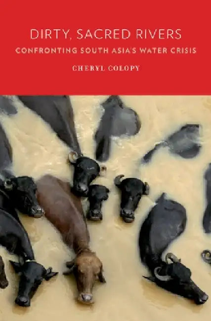 Dirty, Sacred Rivers (English, Cheryl Colopy)