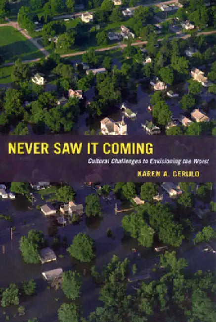 Never Saw It Coming (English, Karen A. Cerulo)