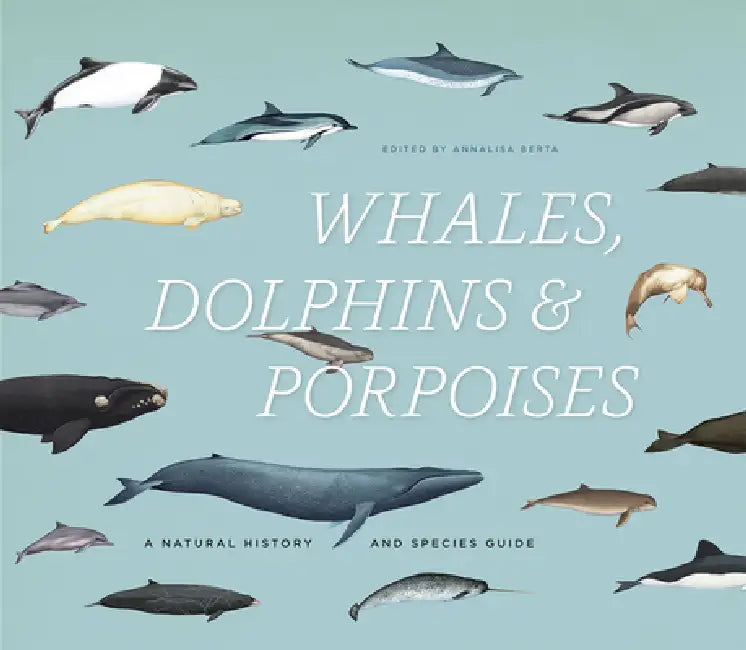 Whales, Dolphins & Porpoises (English, Annalisa Berta)