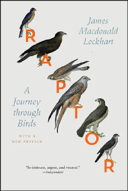 Raptor (English, James MacDonald Lockhart | James MacDonald Lockhart)