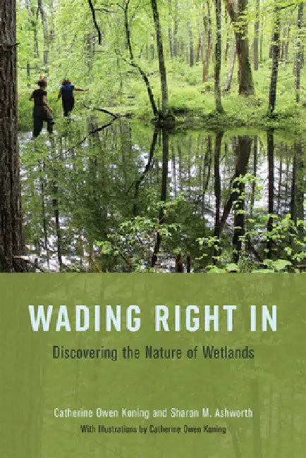 Wading Right in (English, Catherine Owen Koning | Sharon M. Ashworth | Catherine Owen Koning)