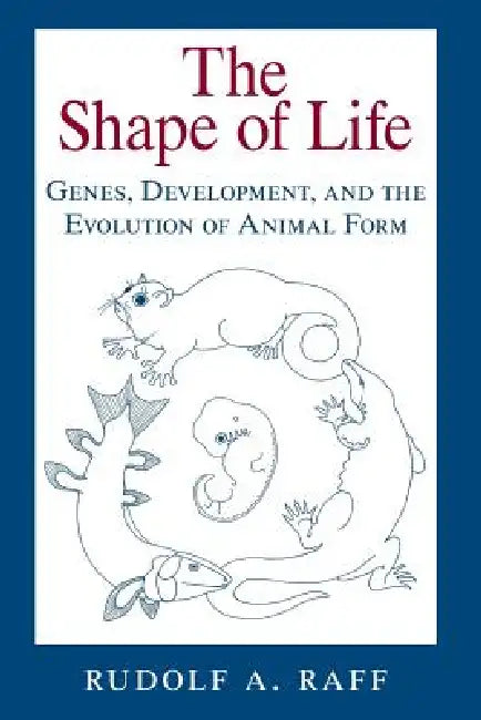The Shape of Life (English, Rudolf A. Raff)