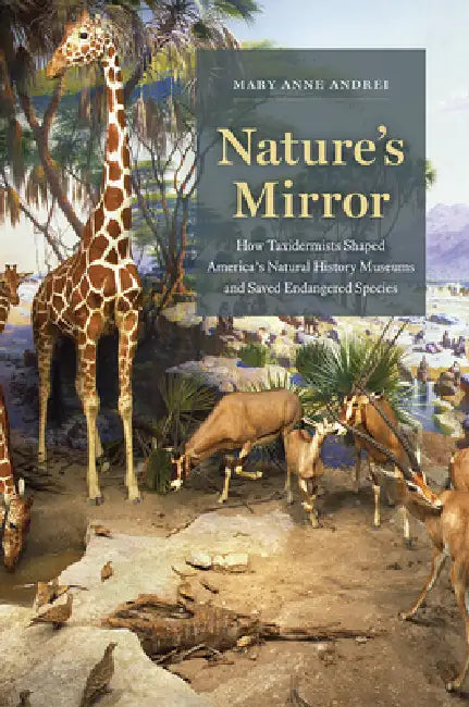 Nature's Mirror (English, Mary Anne Andrei)