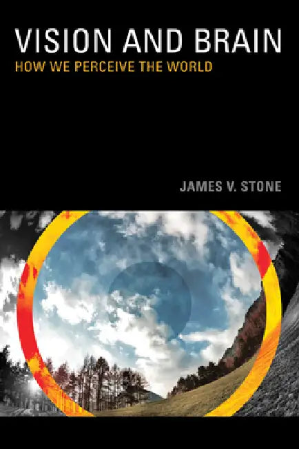 Vision (English, James V. Stone)