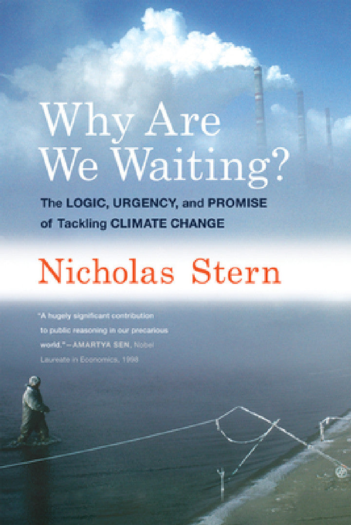 Why Are We Waiting? (English, Nicholas Stern)