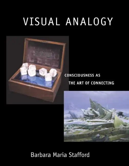 Visual Analogy (English, Barbara Maria Stafford)