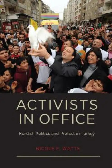 Activists in Office (English, Nicole F. Watts)