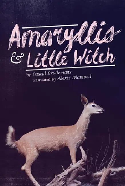Amaryllis & Little Witch (English, Pascal Brullemans | Alexis Diamond)