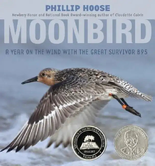 Moonbird (English, Phillip Hoose)