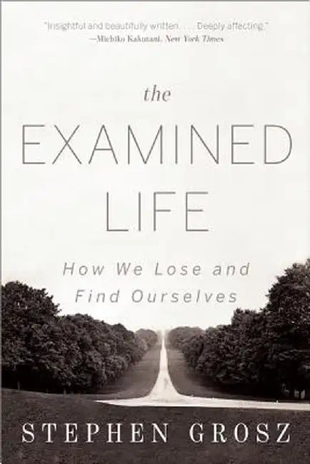 The Examined Life (English, Stephen Grosz)