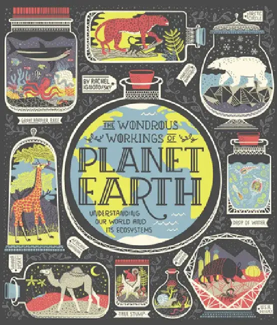 The Wondrous Workings of Planet Earth (English, Rachel Ignotofsky)