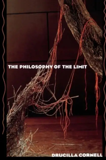 The Philosophy of the Limit (English, Drucilla Cornell)