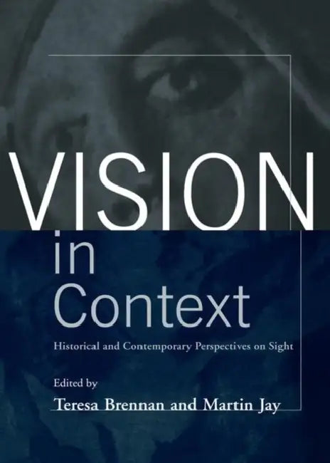 Vision In Context (English, Teresa Brennan)