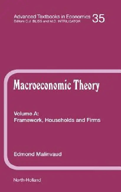 Framework, Households and Firms (English, Bozzano G. Luisa)
