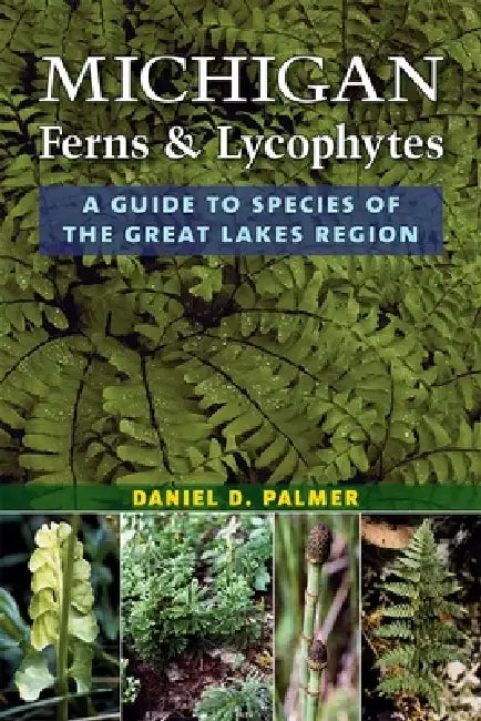 Michigan Ferns and Lycophytes (English, Daniel D. Palmer)