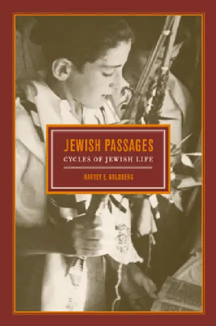 Jewish Passages (English, Harvey E. Goldberg)