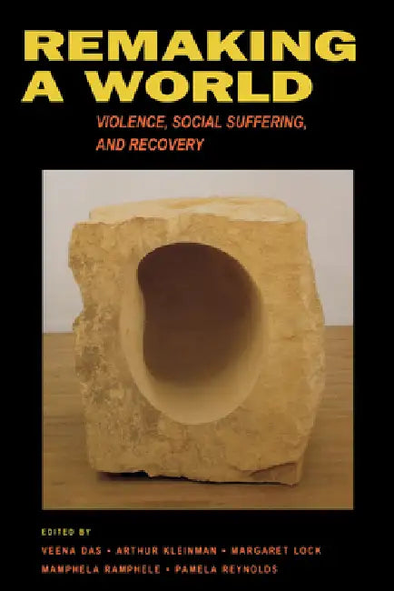 Remaking a World (English, Veena Das | Arthur Kleinman | Margaret M. Lock)