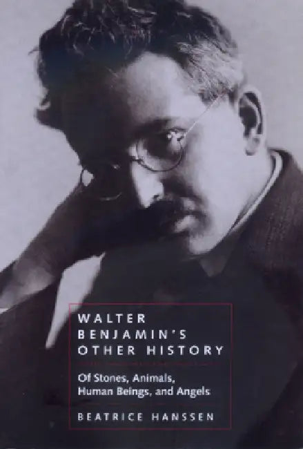 Walter Benjamin's Other History (English, Beatrice Hanssen)
