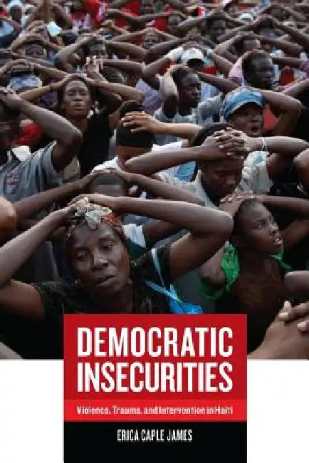 Democratic Insecurities (English, Erica Caple James)