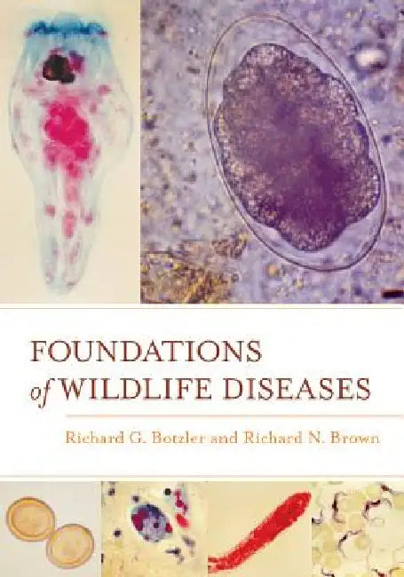 Foundations of Wildlife Diseases (English, Richard G. Botzler | Richard N. Brown)