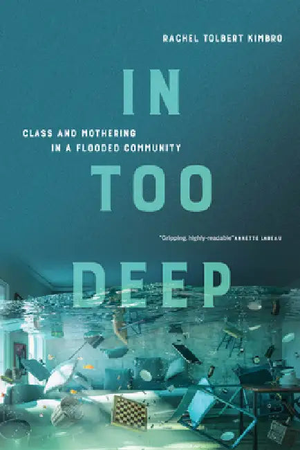 In Too Deep (English, Rachel Kimbro)