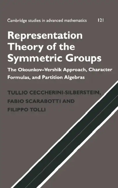 Representation Theory of the Symmetric Groups (English, Tullio Ceccherini-Silberstein | Fabio Scarabotti | Filippo Tolli)
