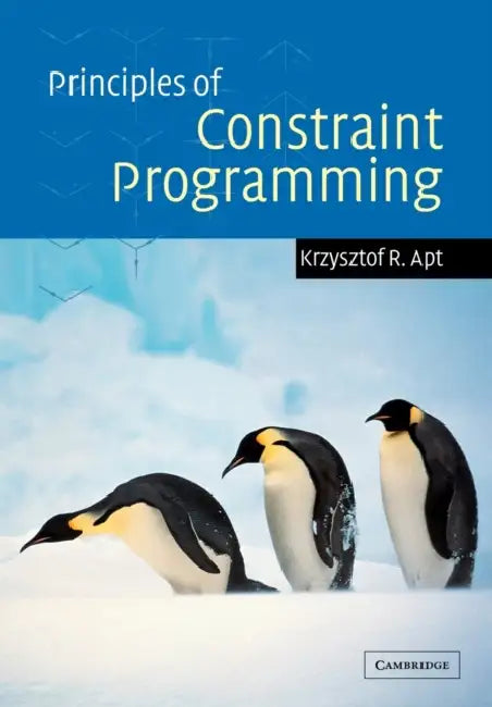 Principles of Constraint Programming (English, Krzysztof Apt)