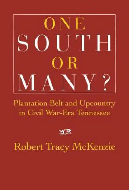 One South or Many? (English, Robert Tracy McKenzie)