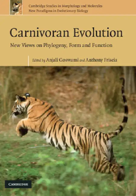 Carnivoran Evolution (English, Anjali Goswami | Anthony Friscia)