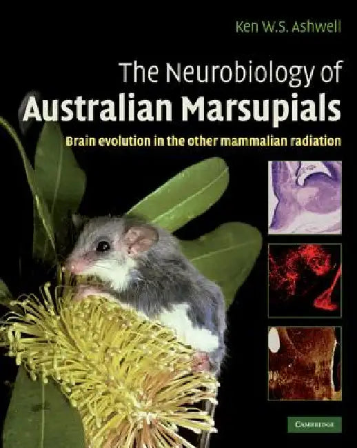 The Neurobiology of Australian Marsupials (English, Ken Ashwell)